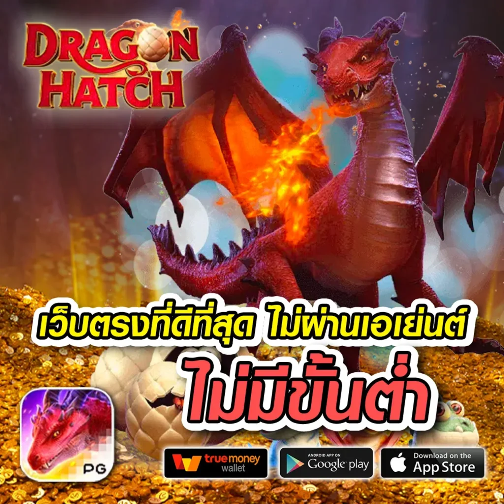 เกม allfor-win